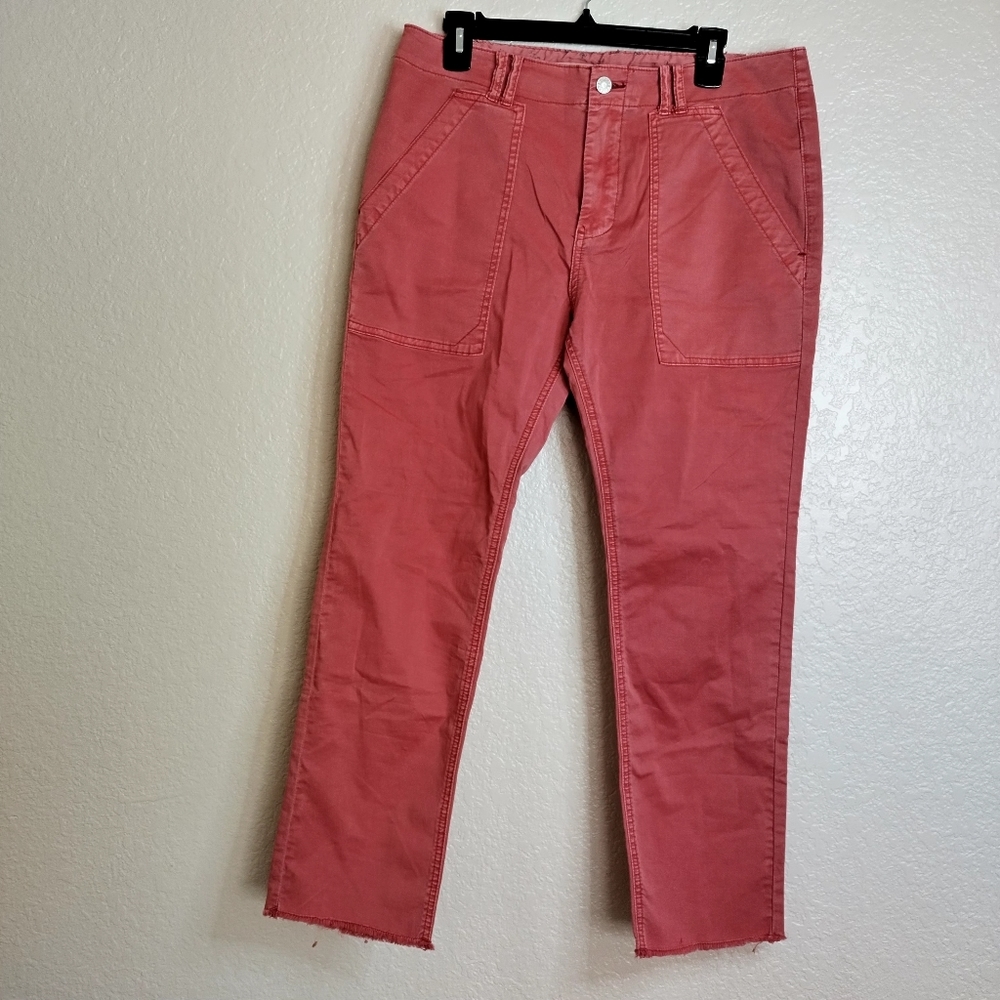 Anthropologie Pilcro Utility Slim Straight-Leg Pants  sz 30